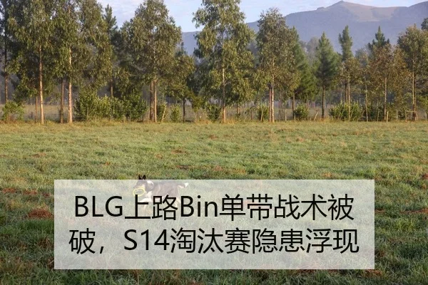 shang-lu-dan-dai-zhan-shu-bei-po-tao-tai-sai-yin-huan-fu-xian-2-740.jpg